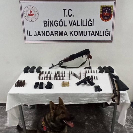 Dedektör köpek tespit etti: Bingöl'de silah ve mühimmat ele geçirildi