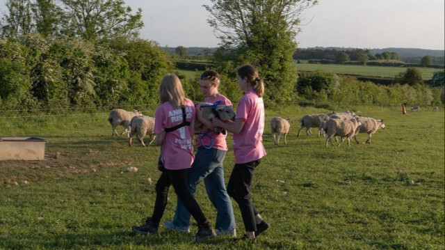 Des militants du groupe Animal Rising ont dérobé trois agneaux dans le domaine de Sandringham, propriété du roi Charles III, dans le comté du Norfolk en Angleterre. Crédit photo: Animals Rising