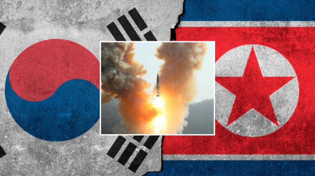 Kuzey Kore/Güney Kore