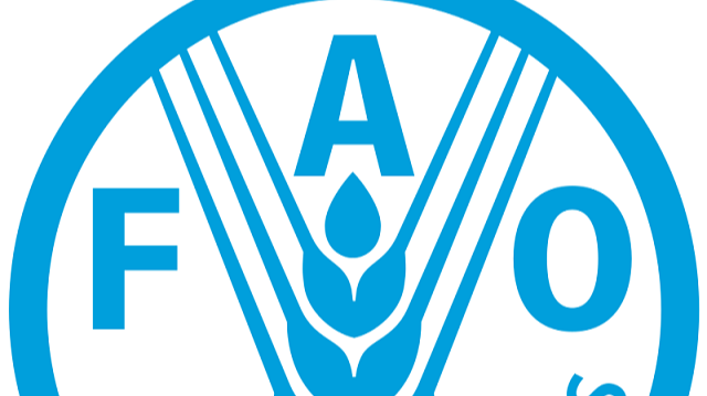 Logo de l'Organisation des Nations unies pour l'alimentation et l'agriculture (FAO). Crédit photo: WIKIPEDIA