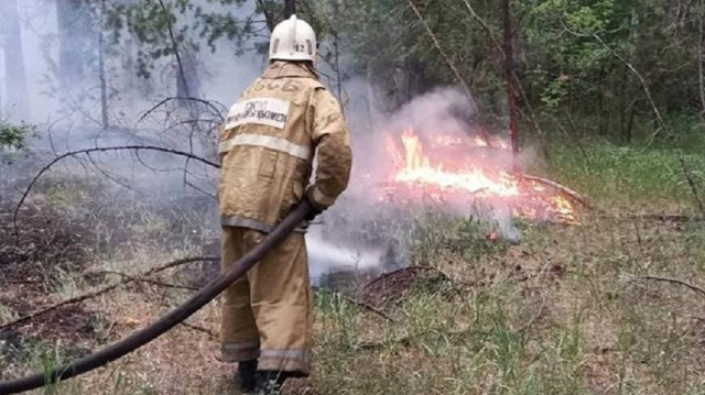 At least 14 killed in wildfires in east Kazakhstan: Report