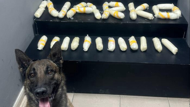 Hakkari'de bir araçta narkotik dedektör köpeği "Rüzgar" ile yapılan aramada, 9 kilo 60 gram sentetik uyuşturucu ele geçirildiği bildirildi.
