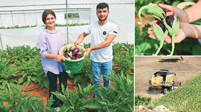 Türkiye Odalar ve Borsalar Birliği Mesleki ve Teknik Anadolu Lisesi’nin375 öğrencisi,
tarımsal alanda verilen eğitimlerle geleceğe hazırlanıyor.