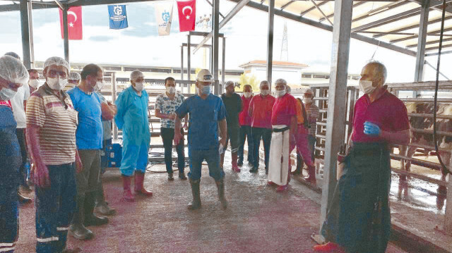 Kocaeli Büyükşehir Belediyesi, Kurban Kesim Elemanı Kursu ile vatandaşlar bayrama kadar gerekli eğitimleri verecek