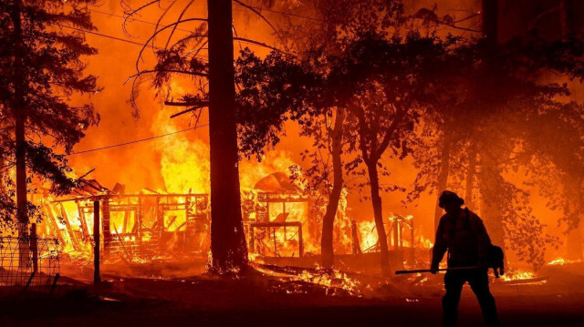 Kanada'da etkisini sürdüren orman yangınlarında 3 milyon hektarlık alan zarar