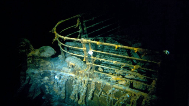 Crédit photo: WOODS HOLE OCEANOGRAPHIC INSTITUTION / AFP