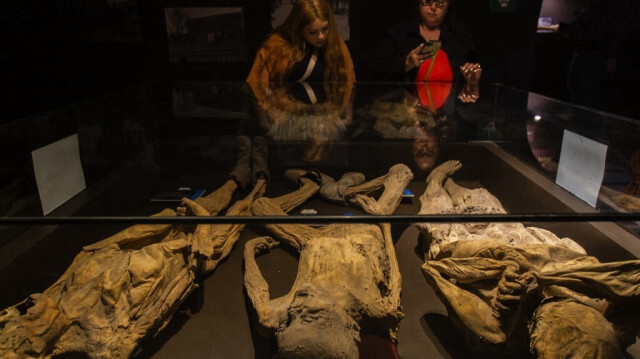 Les momies sont exposées au musée de las Momias du Guanajuato au Mexique. Crédit photo: RODRIGO OROPEZA / AFP