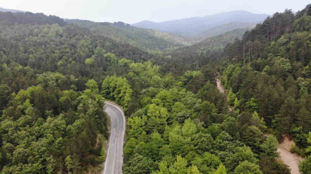 Bursa, Çanakkale ve Kütahya'da ormanlık alanlara girişlere izin yok.