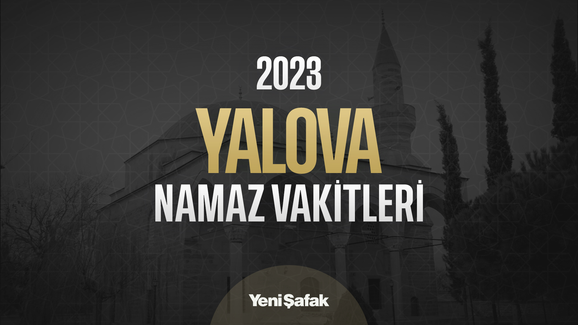 türkçe dvd film