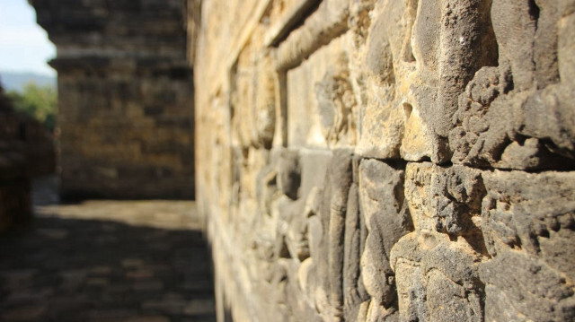 В Мексике найден затерянный город эпохи империи майя