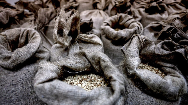 Le captagon (stupéfiant, drogue). Crédit Photo: JOSEPH EID / AFP

