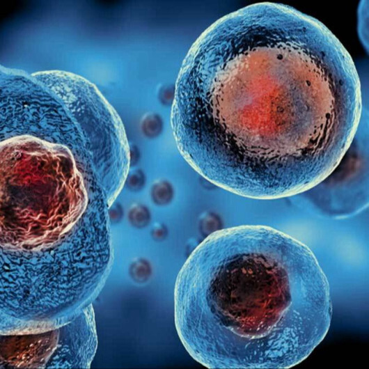 تركيا تنافس الدول المتقدمة في مجال نقل الخلايا الجذعية