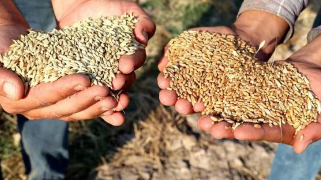 TMO buğday ve arpa alım fiyatı