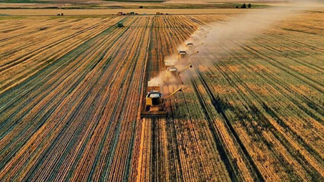 Foto/arşiv