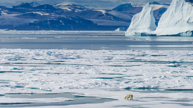 İklim bilimciler 'artık çok geç' diyerek uyardı Kuzey Kutbu buzsuz