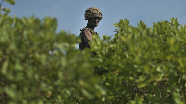 Crédit Photo: CARL DE SOUZA / AFP