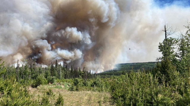 Feux de forêt dans la région de Dawson Creek au Canada. Crédit photo: BC WILDFIRE SERVICE / AFP