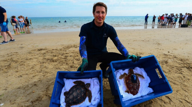 Un membre du personnel du centre de soins des tortues à l'île de Ré en France.Crédit photo: MEHDI FEDOUACH / AFP