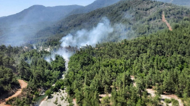 Muğla'da orman yangını çıktı
