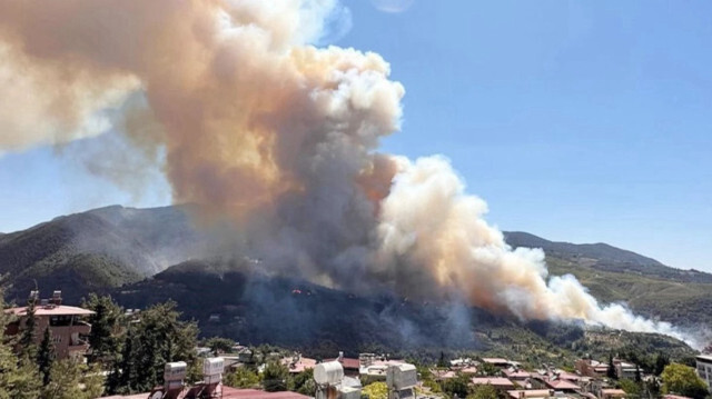 Hatay orman yangını