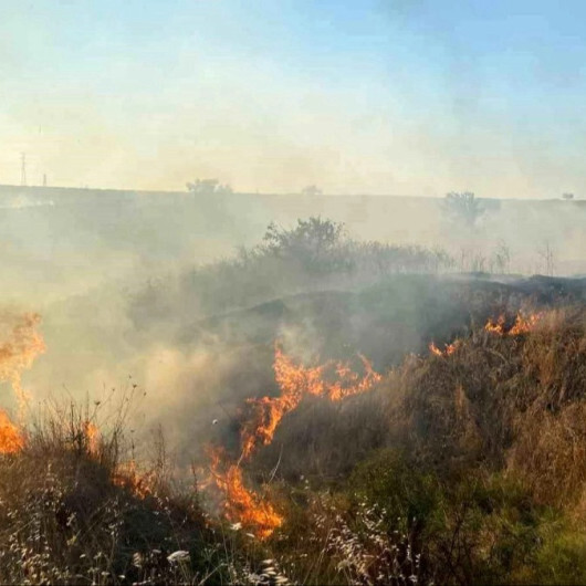 Tekirdağ'daki orman yangınının sebebi belli oldu