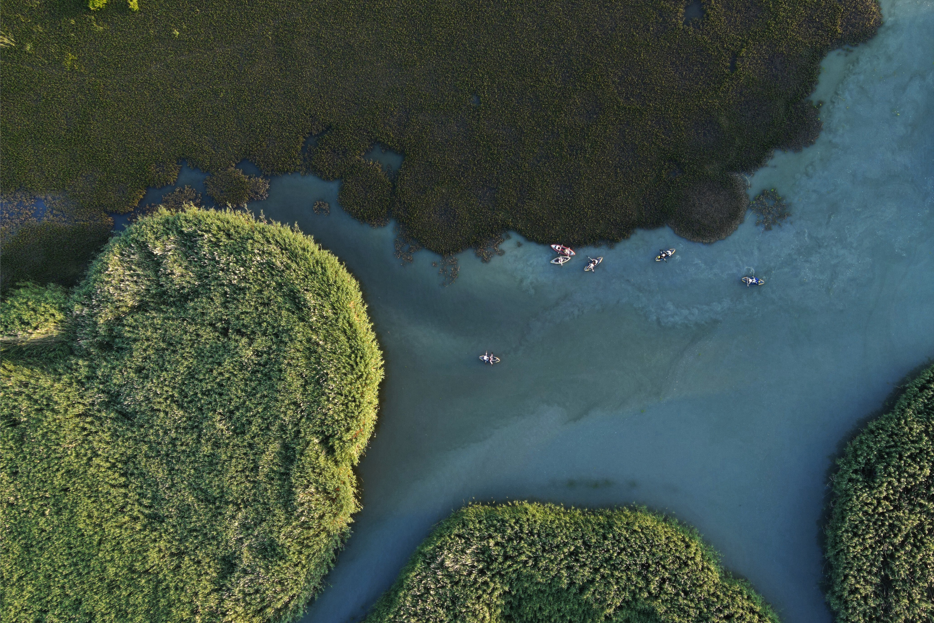Dilkaya Delta hosts canoe lovers in Turkiye's Van