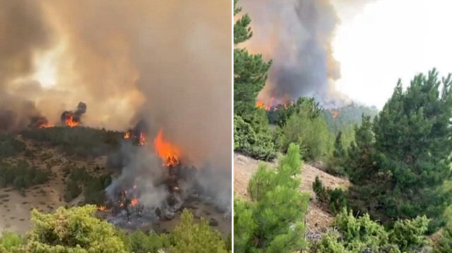 Yangına 7 arazöz, 4 su ikmal aracı, 2 ilk müdahale aracı, 1 helikopter ve 52 personel ile karadan ve havadan müdahale edildi.