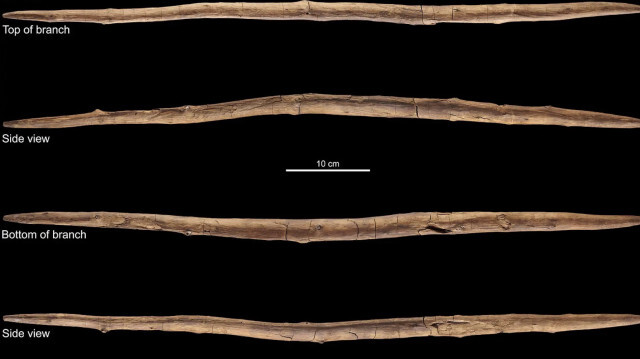 Фото: V. Minkus/Milks A. et al.
Бумеранг возрастом 300 тысяч лет нашли археологи в Германии
