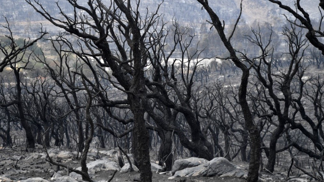 Crédit photo: AFP