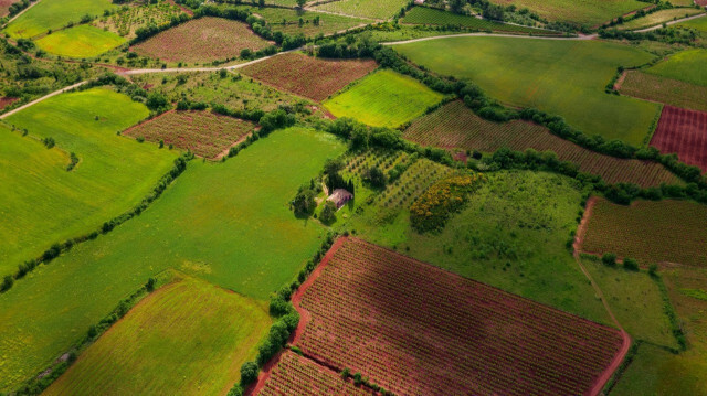 Foto/arşiv