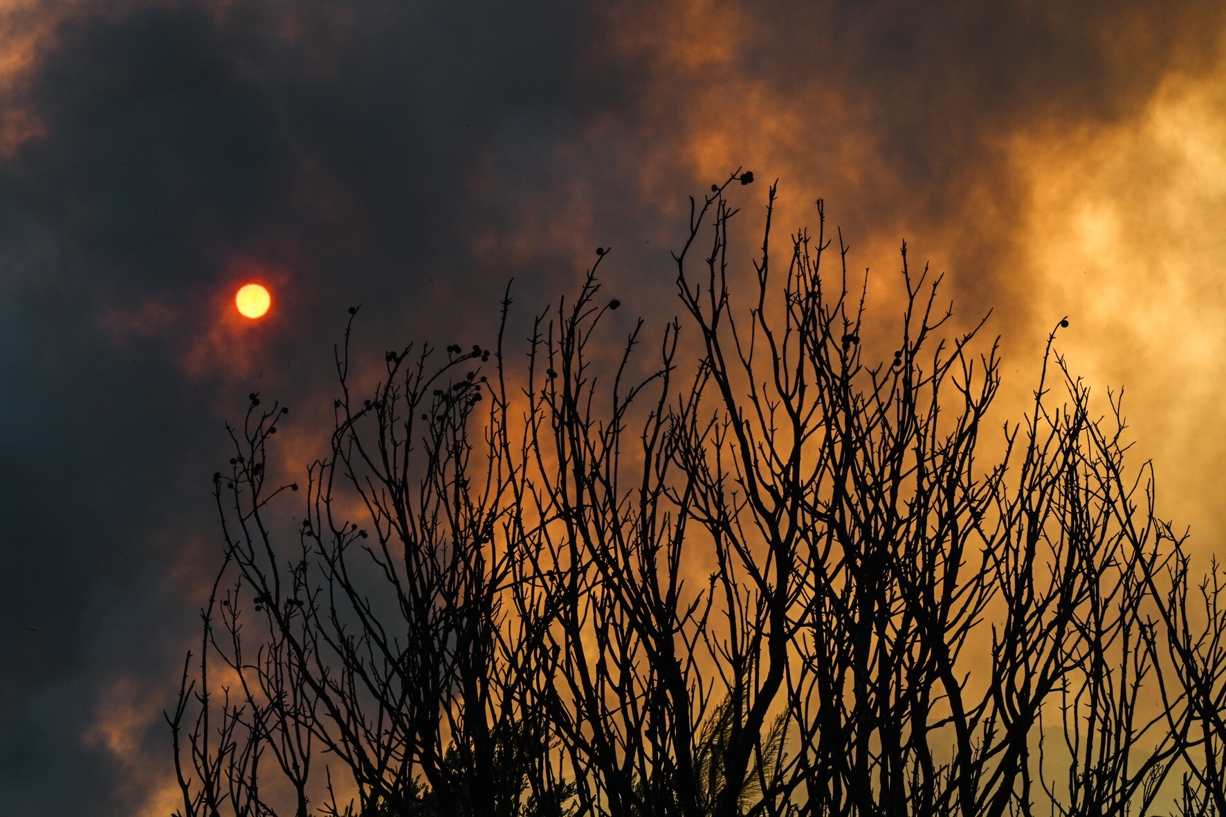 Wildfires in Izmir