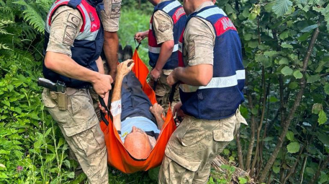 Ordu'da yediği mantardan zehirlenen kişi tedavi altına alındı.