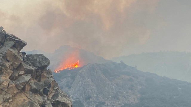 Kınık'taki orman yangınının nedeni ortaya çıktı