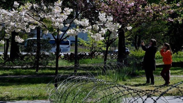 Des cerisiers (sakura) en fleurs dans le "parc de Kyoto" à la périphérie de Kiev en Ukraine. Crédit photo: Crédit photo: SERGEI SUPINSKY / AFP