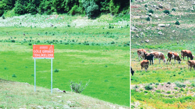 Kazandere Barajı yemyeşil!