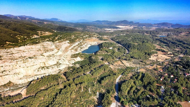Maden şirketi Akbelen ormanına 130 bin fidan dikecek.