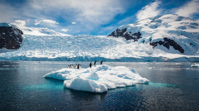 Antarktika'da Arjantin büyüklüğünde deniz buzu eridi.
