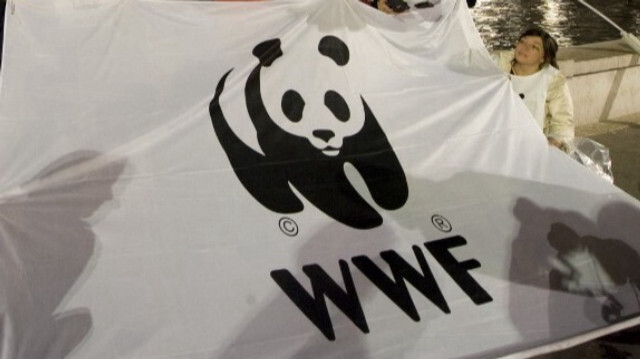 Le Fonds mondial pour la nature (WWF). Crédit photo: GIUSEPPE CACACE / AFP / ARCHIVE