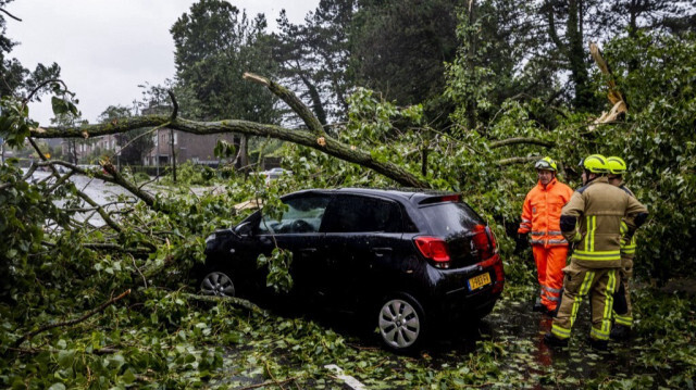 Des employés municipaux enlèvent un arbre tombé suite à une tempête à Haarlem aux Pays-Bas. Crédit photo:  REMKO DE WAAL / ANP / AFP