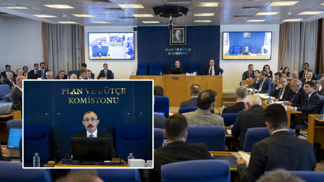 TBMM Plan ve Bütçe Komisyonu