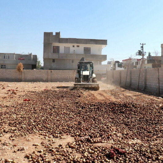 Şanlıurfa'da ele geçirilen dört ton çürümüş soğan imha edildi