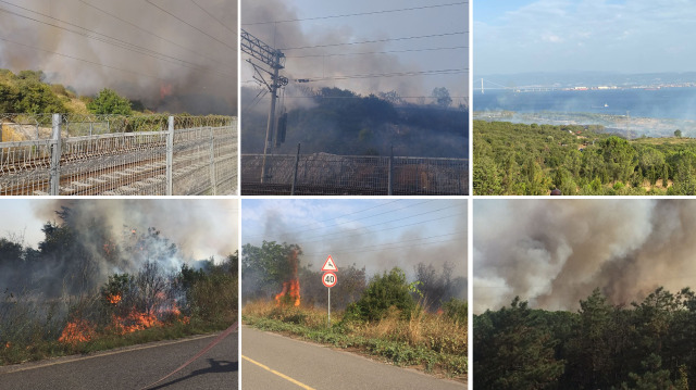 Kocaeli'de TÜBİTAK yerleşkesindeki ormanlık alanda yangın çıktı.