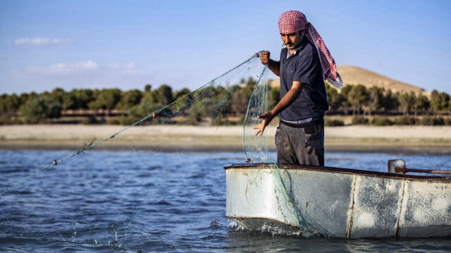  Un pêcheur, tire son filet du lac Assad en Syrie. Crédit photo: DELIL SOULEIMAN / AFP