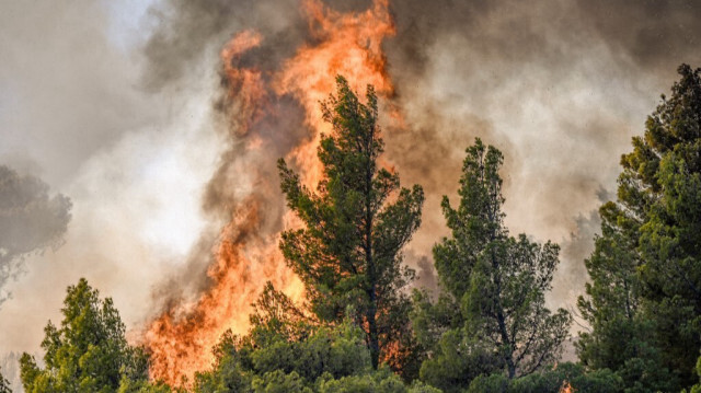 Des flammes brûlant la végétation lors des feux de forêt près de Prodromos, au nord-est d'Athènes, le 21 août 2023. Crédit photo: SPYROS BAKALIS / AFP
