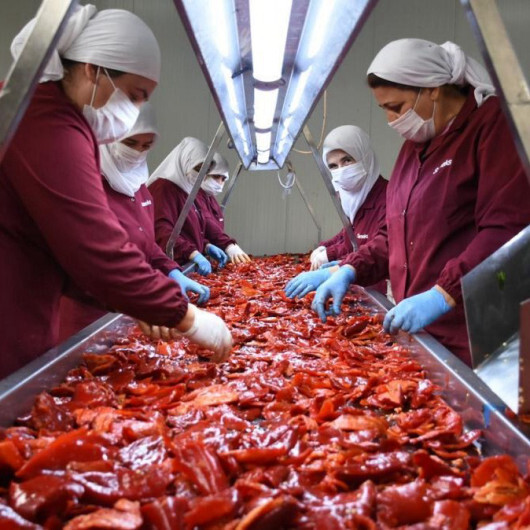 2028 yılı için çalışmalara başlandı: Gıda ve tarımda 50 milyar dolarlık hedef