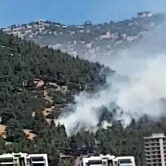 Kahramanmaraş'ta orman yangını: Bir kişi gözaltında