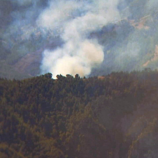 Feke'de orman yangını