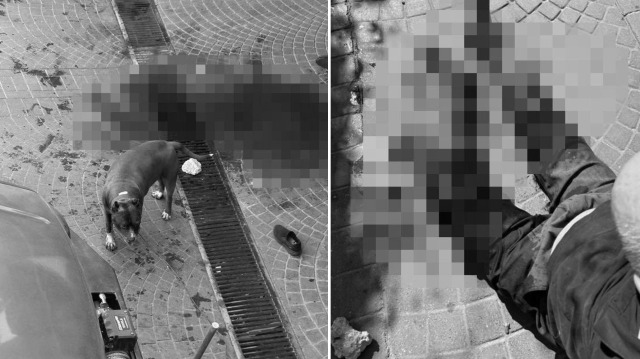 İstanbul Bakırköy'de pitbull cinsi köpeğin saldırdığı vatandaş yaralandı.