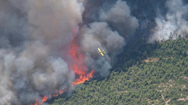 Crédit photo: HELLENIC FIRE SERVICE / AFP