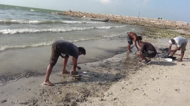 Des activistes et des communautés locales de pêcheurs nettoient la plage de Lerma au Mexique. Crédit photo: ALEJANDRO SANCHEZ / AFPTV / AFP